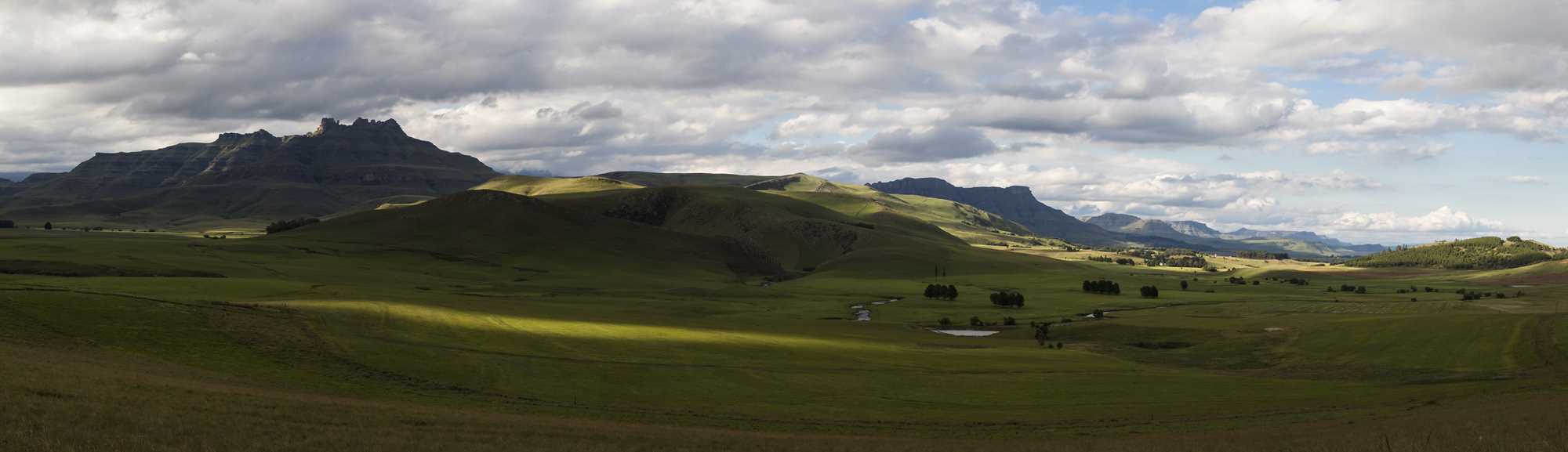 Pano2 (Copy)