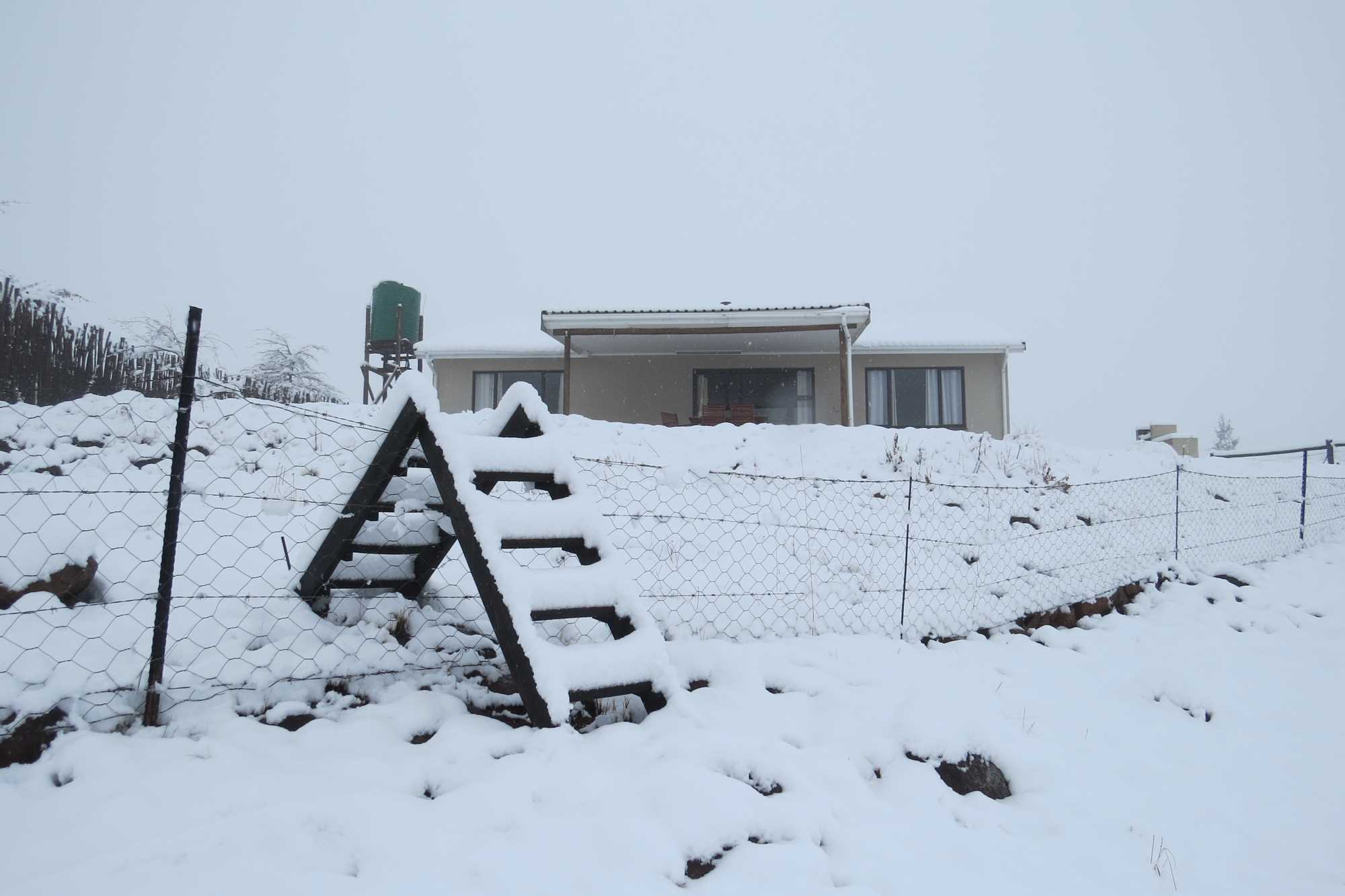 snow3